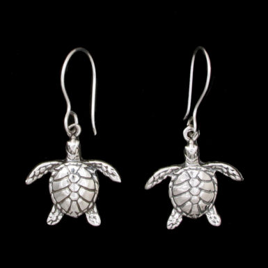 Sea Turtles