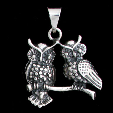 Double Owls on Branch