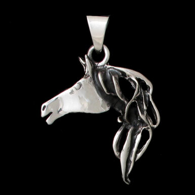 Horse Head with Flowing Mane