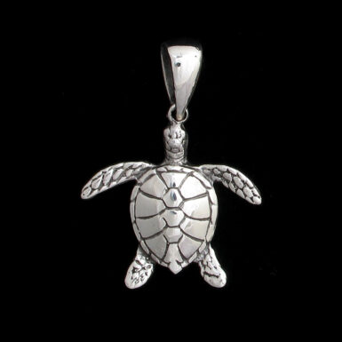 Small Sea Turtle