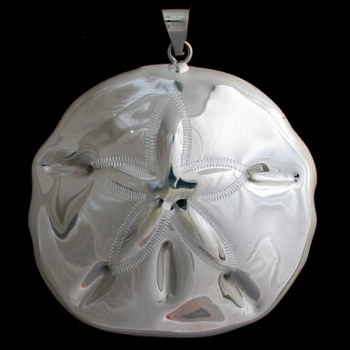 Large Sand Dollar