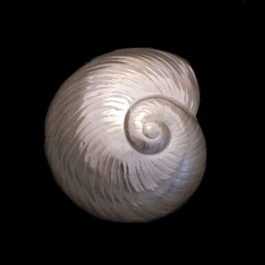 Shell