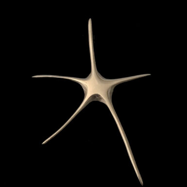Stylized Starfish