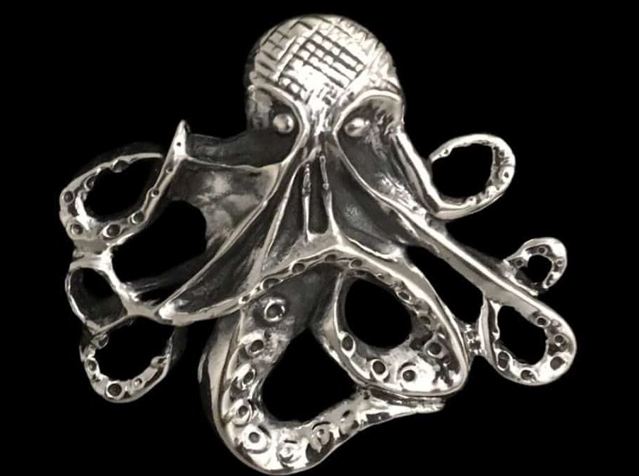 Vigilant Octopus
